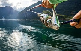 Pianeta Pesca