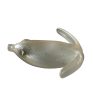 Basirisky 70 - 16-glass-cat