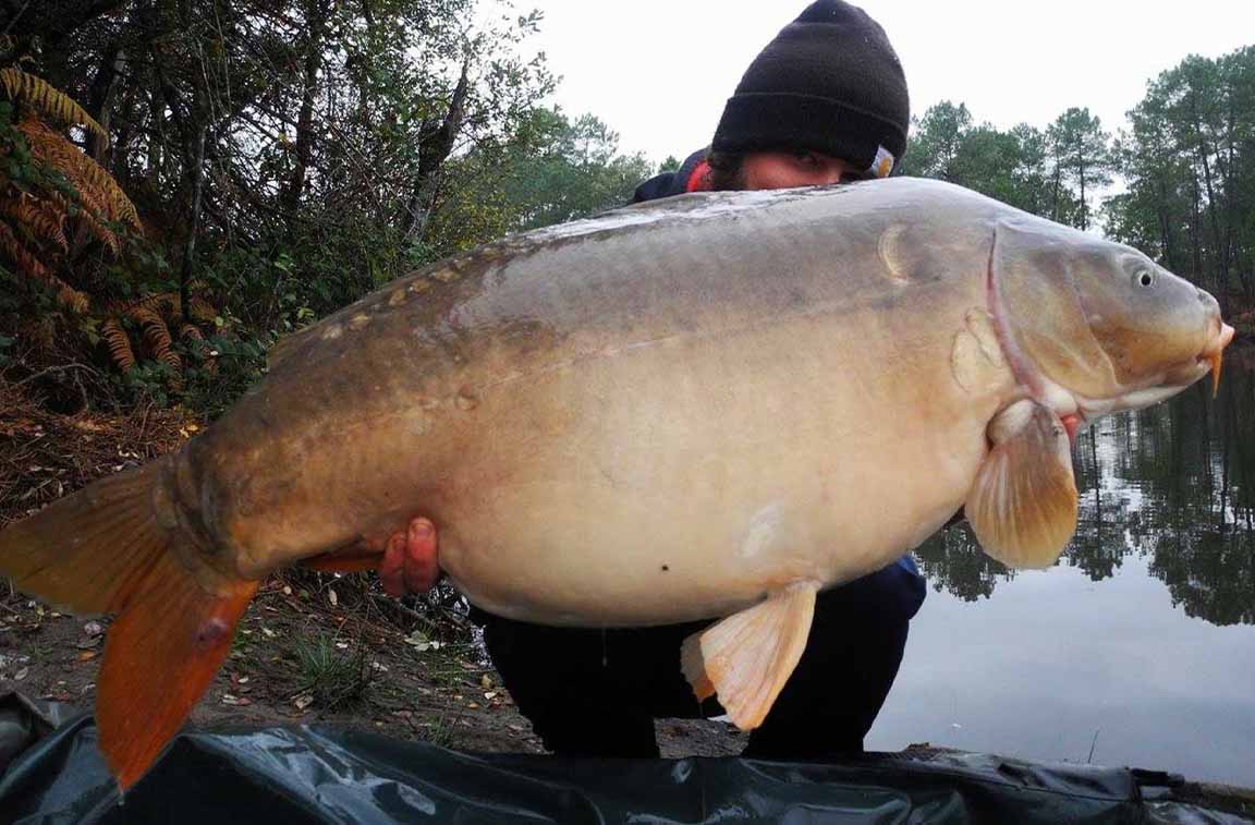 Pianeta Pesca