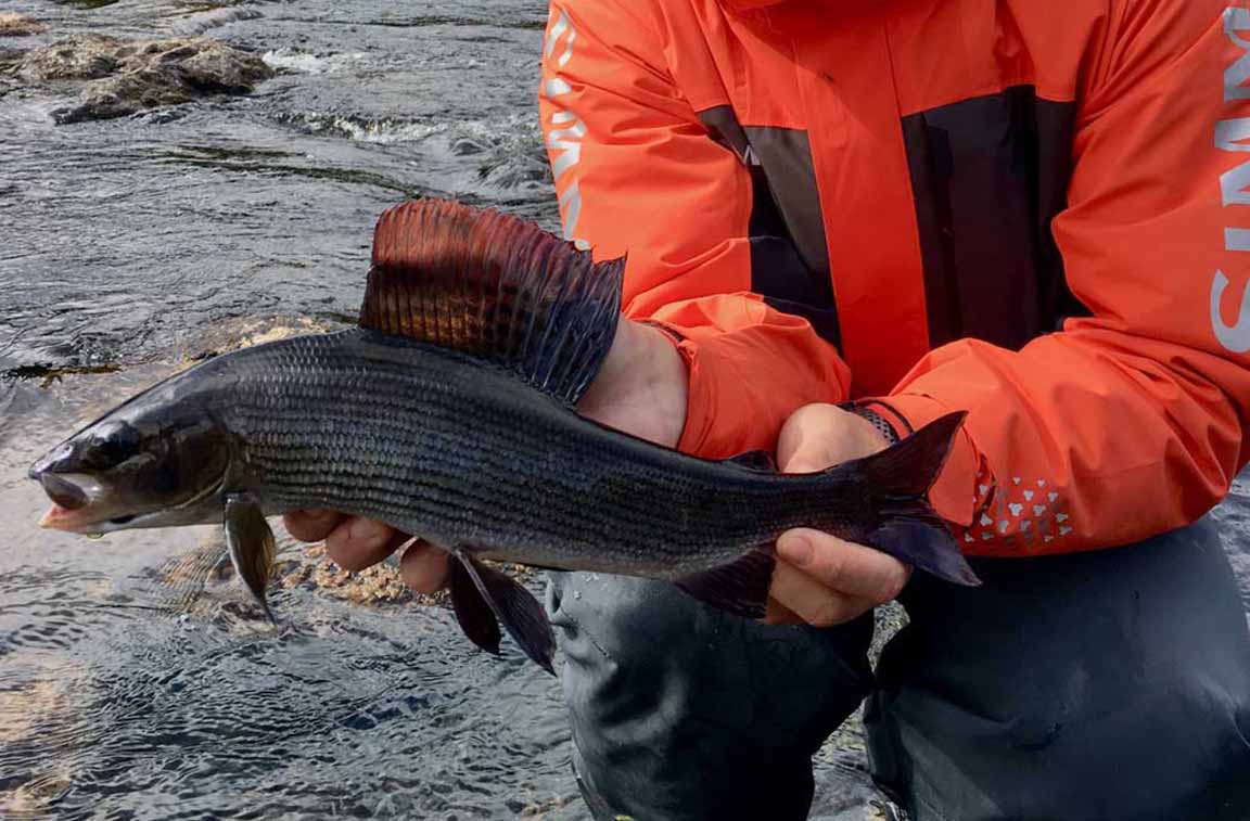 Pianeta Pesca