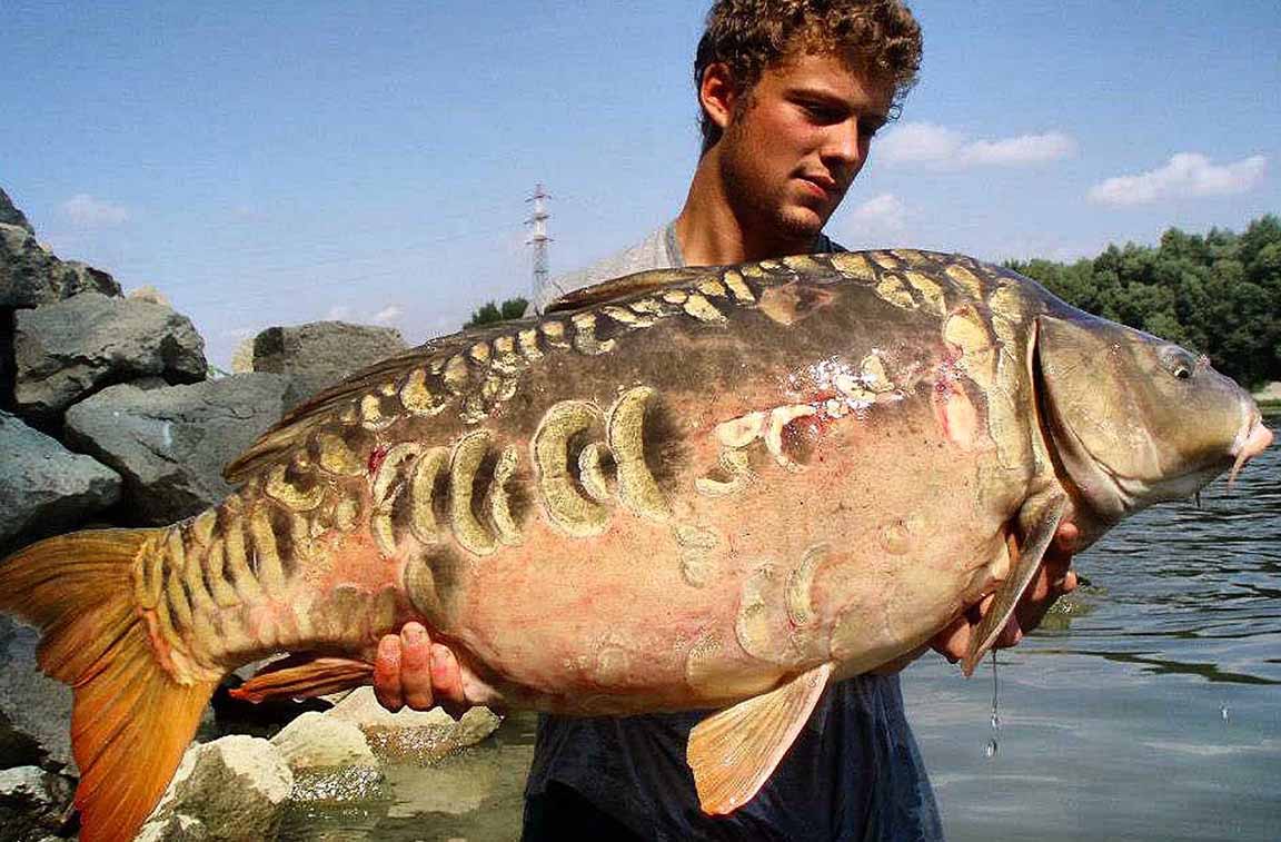 Pianeta Pesca