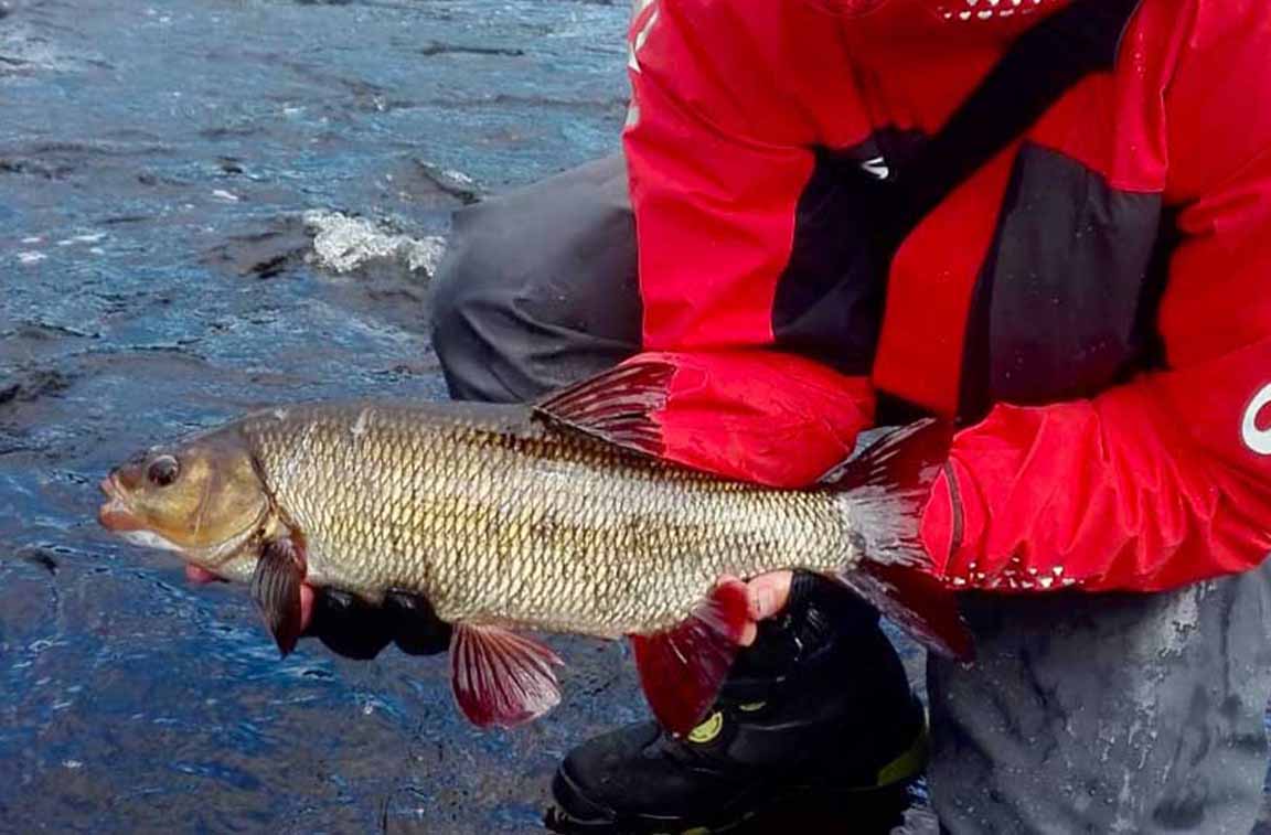 Pianeta Pesca