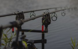 Carpfishing & Siluro
