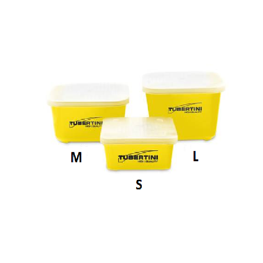 Maggi Box 1