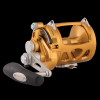 International VISW - 30visw-reel-gld - 4-11-1-41 - 0-46-1270 - 136-kg - 5 - 41-14 - 1590-g - gold