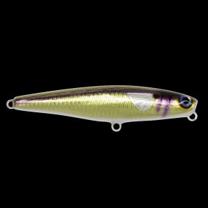 Atherina WTD Big