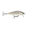 Countdown Elite 55 - cde55 - 55-cm - 5-g - gdbt - 06-09-m