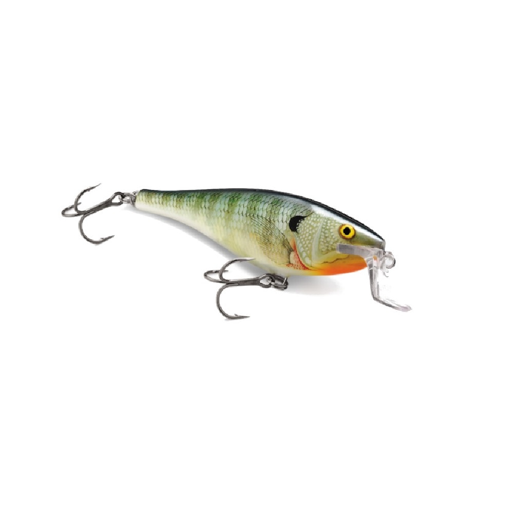 Super Shad Rap