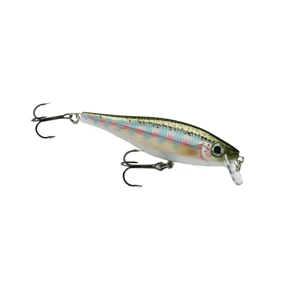 BX Minnow 10 Cm