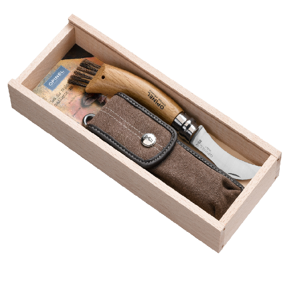 Coltello Inox Funghi