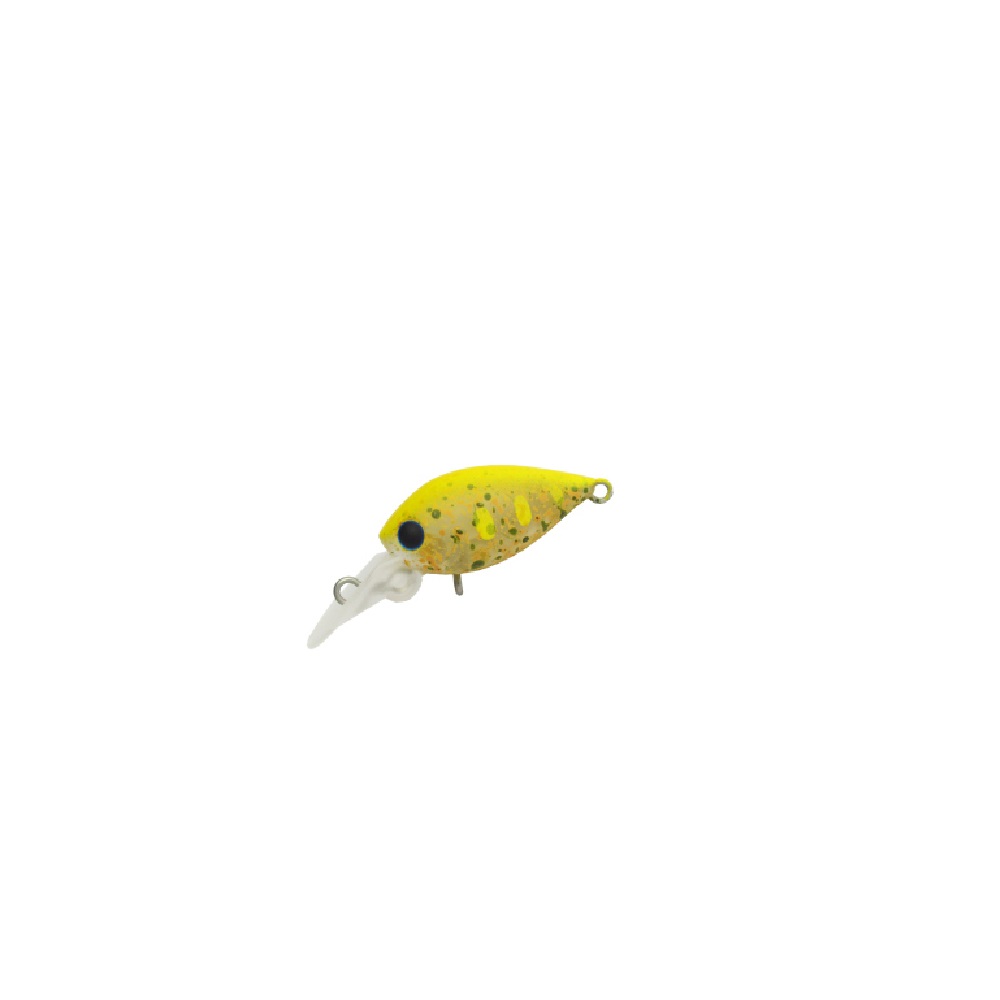 Pico Chattecra DR-SS