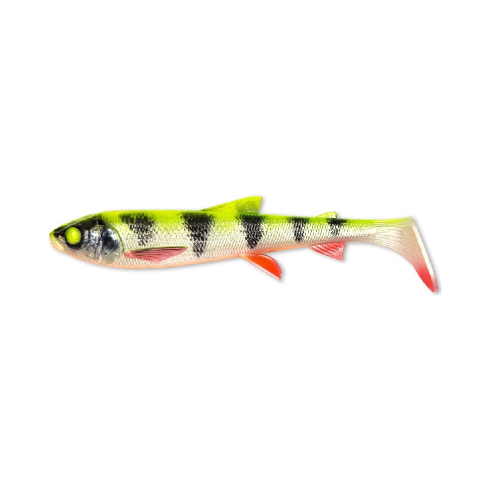 3d Whitefish Shad
